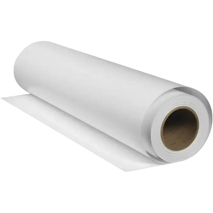  Hârtie Epson Gloss