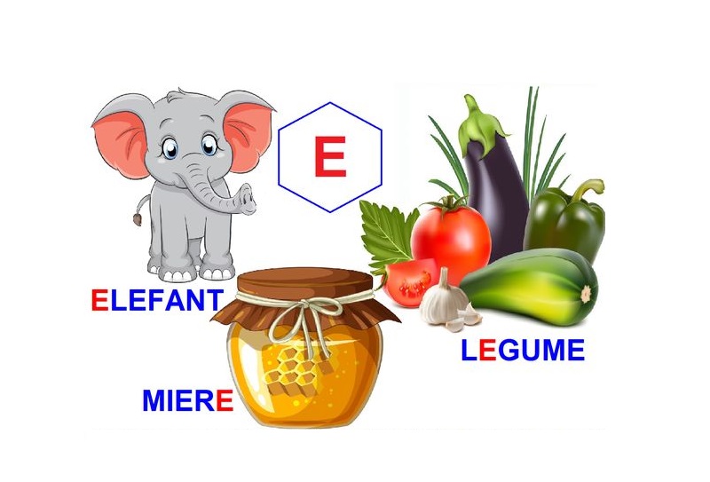 L-248 Loto Logopedie animată Sunetul E