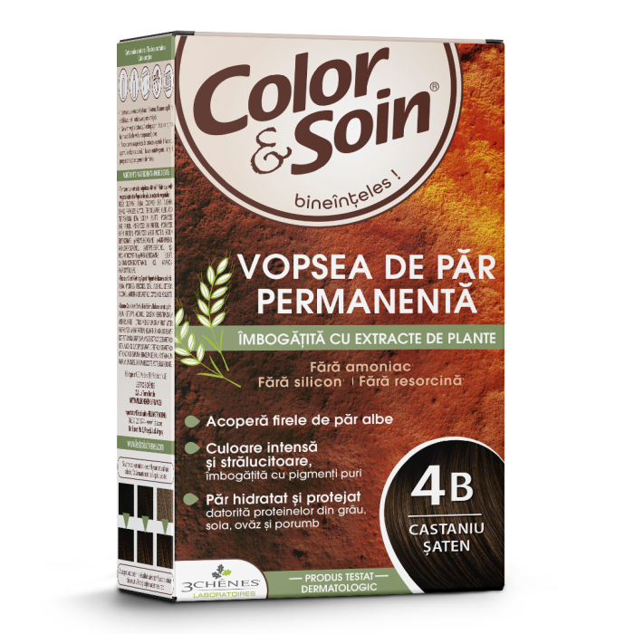 Vopsea par Chatain Brownie (4B)
