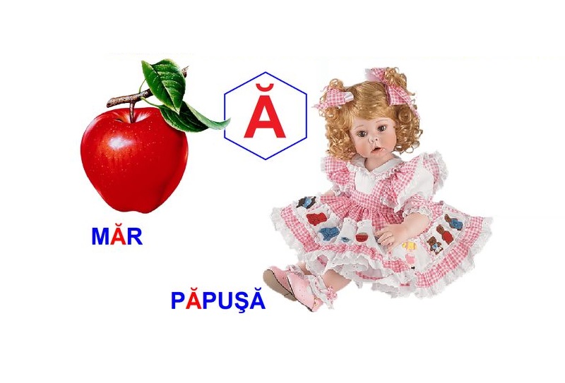 L-253 Loto Logopedie animată Sunetul Ă