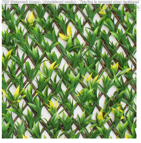 Gard decorativ Willow-Yellow 1*2m