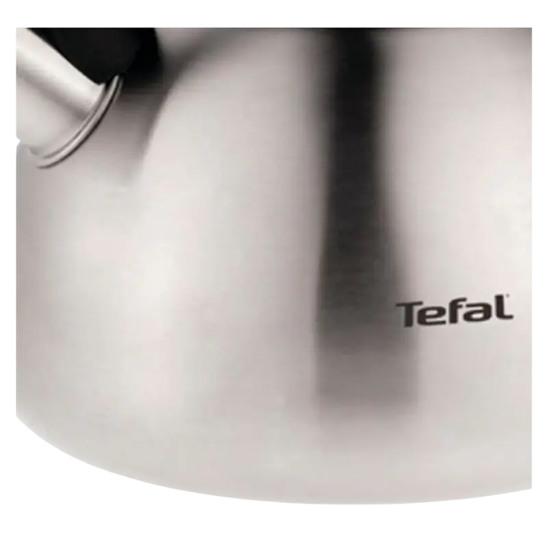  Ceainic Tefal N4180217