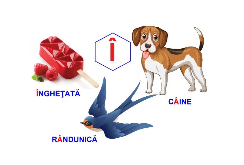 L-250 Loto Logopedie animată Sunetul Î