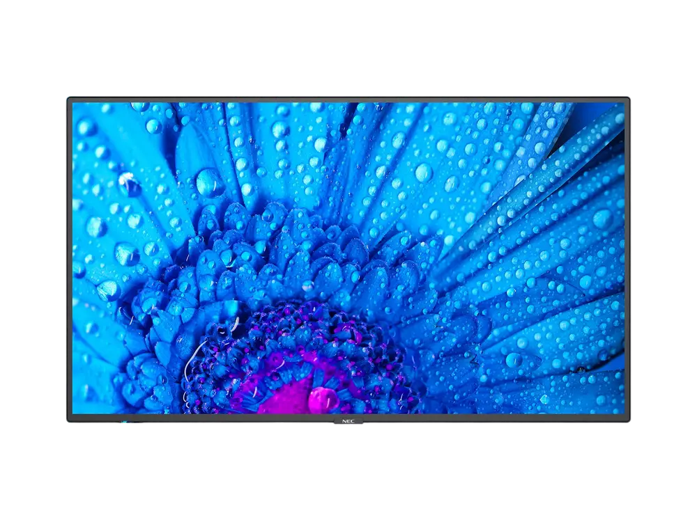  Display NEC MultiSync M651