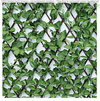Gard decorativ Willow-Rose 1*2m