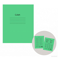 Caiet 12f Prostand coperta verde 12PR /25/300 01 linia mare