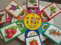 FR-8 Joc cu cleşte Ce şi unde creşte