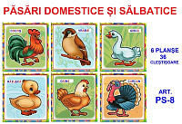 PS-8 Joc cu cleşte Păsări domestice şi sălbatice