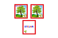 CO-4.1 Joc cu cleşte Arbori (6+)