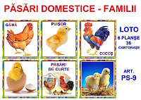 PS-9 Joc Loto Păsări domestice - Familii