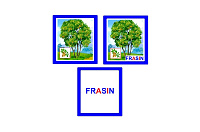 CO-7.1 Joc cu cleşte Arbori şi arbuşti (6+)