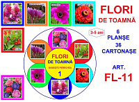 FL-11 Joc cu cleşte Flori de toamna