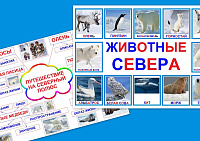 Путешествие на северный полюс art.PT-240